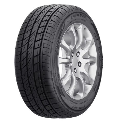 Fortune FSR303